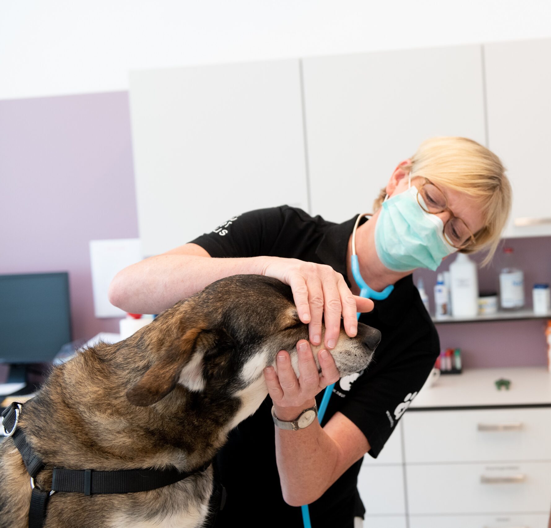 Eine Tierärztin behandelt einen Hund