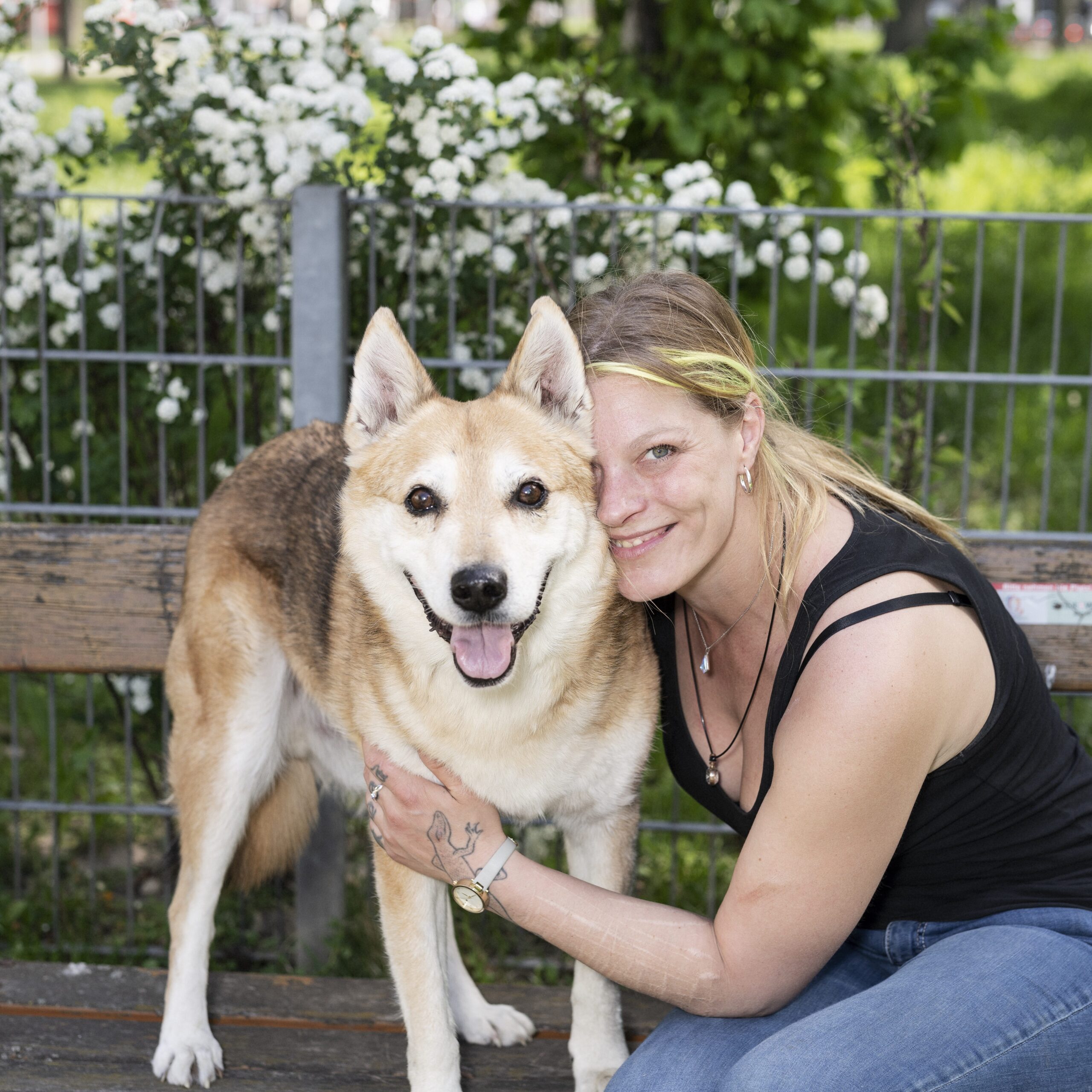 Frau umarmt einen großen Hund auf einer Parkbank