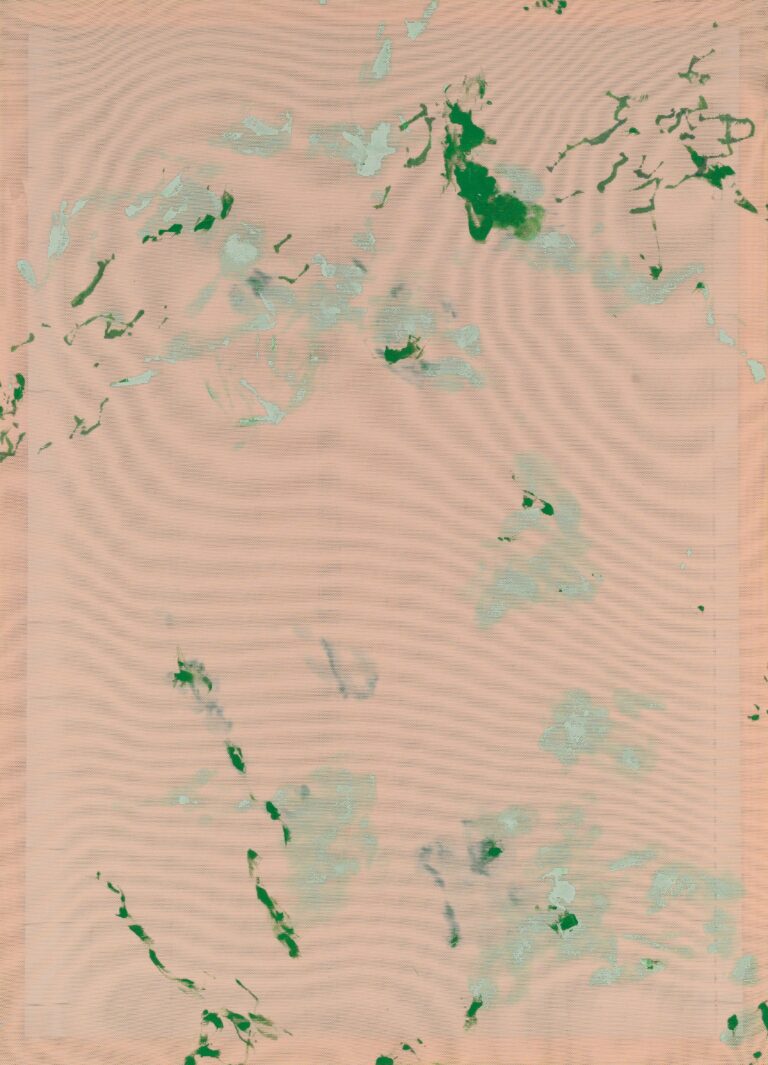<span>72  Kater D.</span>
<span><br>Velden Nr. 2 2023</br>Acryl auf Mesh; 75 x 53 cm<br>Euro 800 </br></span>
