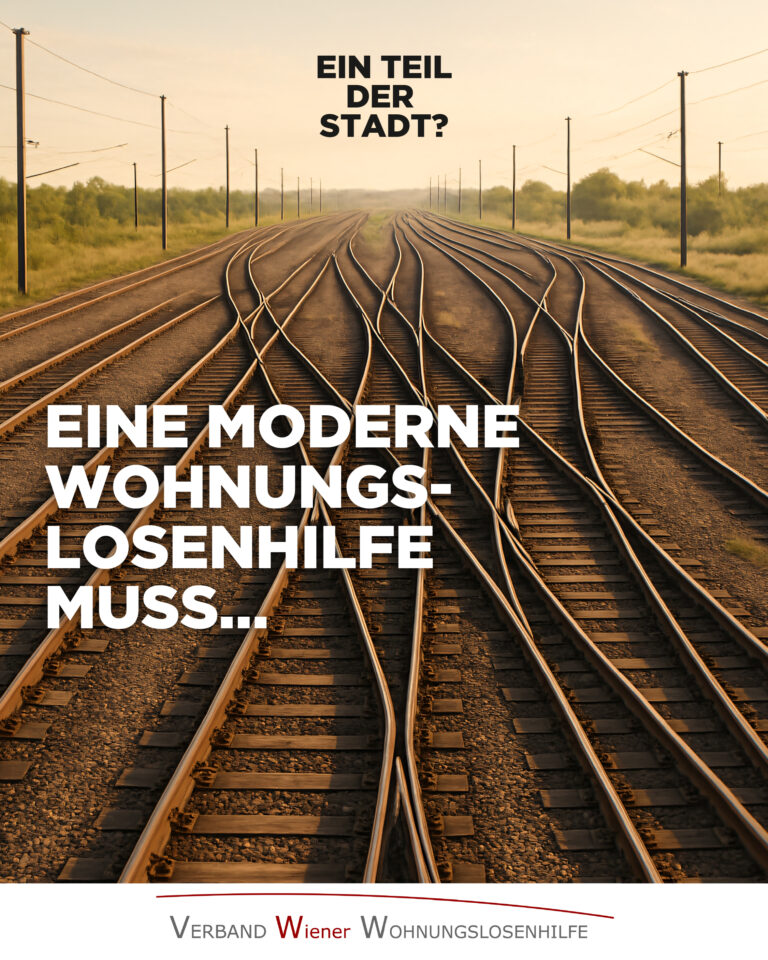 Situationsbericht_Wiener_Wohnungslosenhilfe_Some_11_2025